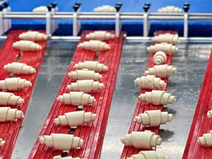 Proyecto para la construcción de una base de producción automatizada de 20,000 toneladas en Tanghe Food.