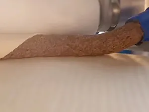Relleno de Carne Fresca
